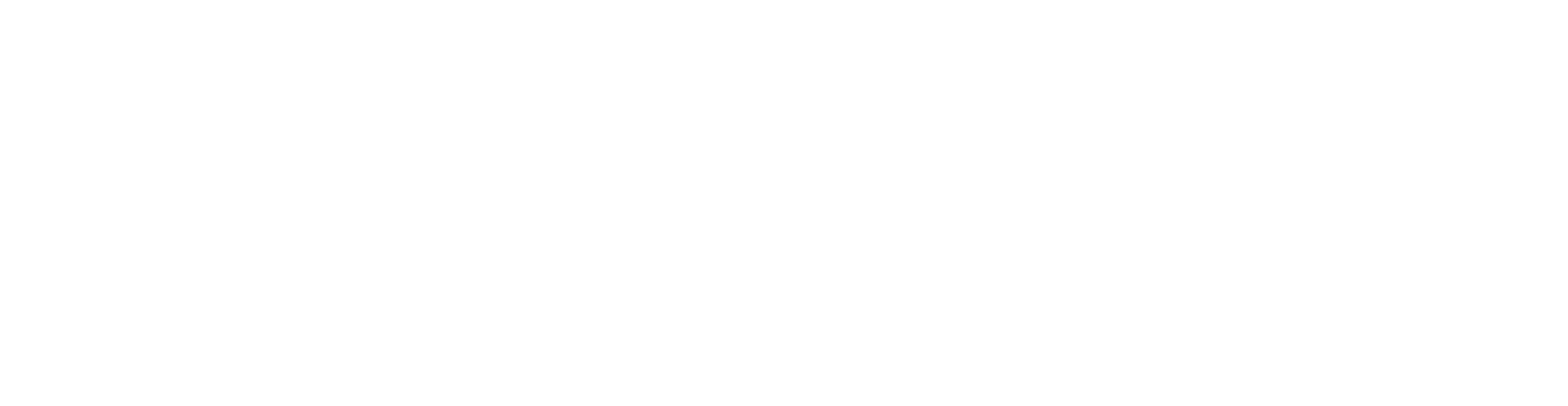 Zubazz Entertainment